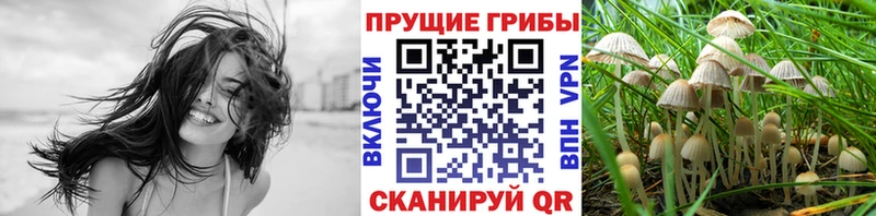 Псилоцибиновые грибы ЛСД Бугульма