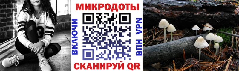 Псилоцибиновые грибы прущие грибы цены Бугульма