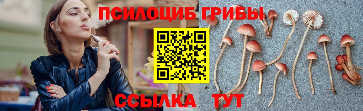 Галлюциногенные грибы GOLDEN TEACHER Бугульма